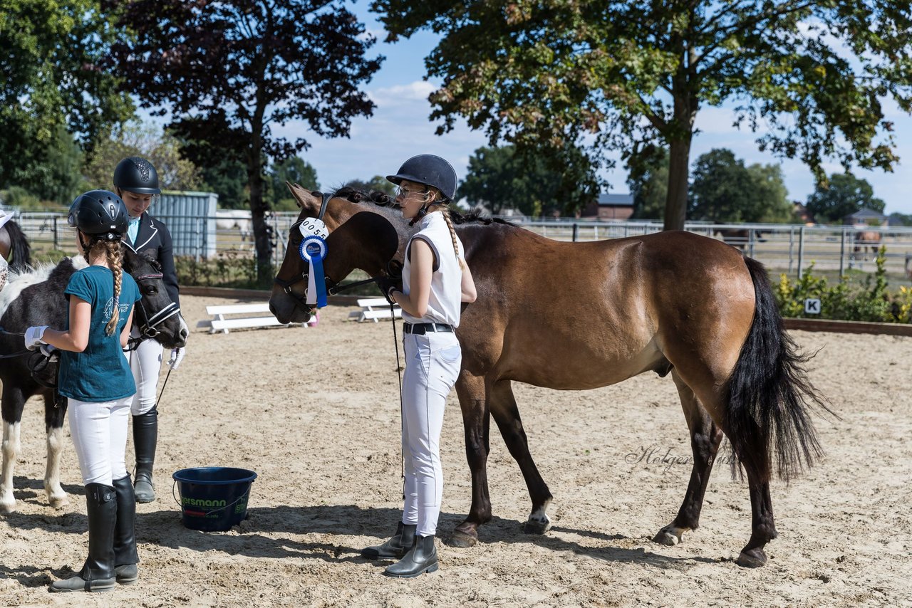 Bild 103 - Pony Akademie Turnier